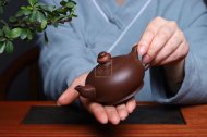《一团和气》宜兴紫砂壶全手工泡茶壶工艺美术师大师紫泥