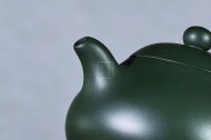 《鹦鹉茶宠》