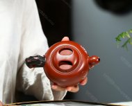 松针牛盖