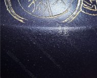《菱韵秋水》