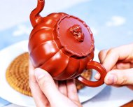 筋纹狮球