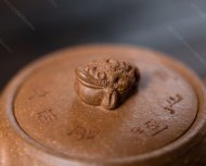 金蟾巨轮