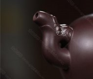 《双龙戏珠》