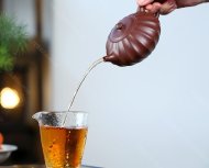 筋纹合欢
