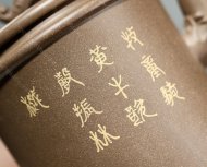 狮之回眸