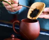 龙蛋杯