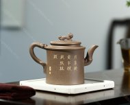狮之回眸