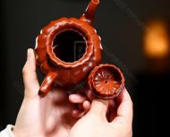 《筋纹菱花》