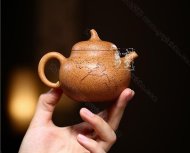 《茄瓜》