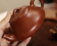 汉棠石瓢