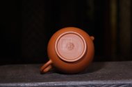 《掇只》宜兴紫砂壶掇只助理工艺美术师手工泡茶壶茶具朱泥