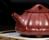 筋纹石瓢