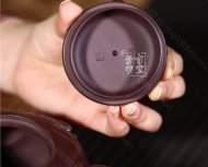 《鱼化龙》