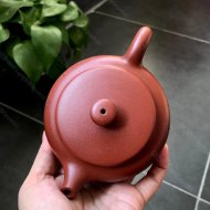 墩朴