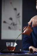 《鱼乐壶》